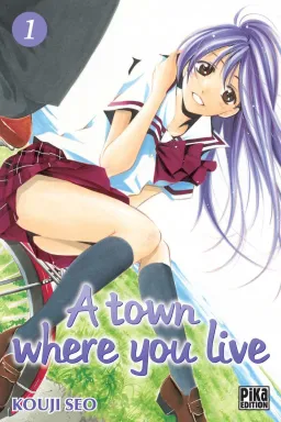Couverture de A town where you live