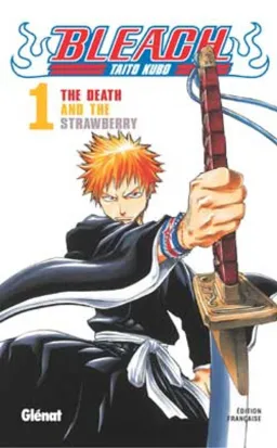 Couverture de Bleach